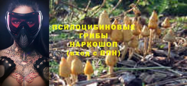 бошки Сафоново